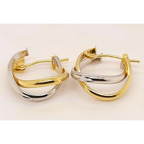 9 Carat Two-tone Yellow and White Gold Double Oval Hoop Earrings