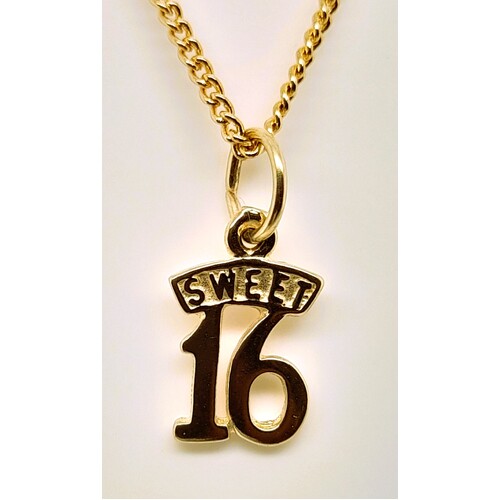 9 Carat Yellow Gold Sweet 16 Charm/Pendant