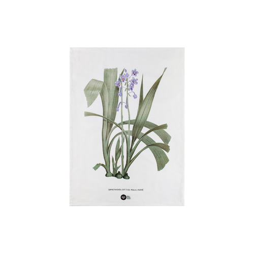 Maxwell & Williams Royal Botanic Gardens Lilac Australian Orchids 50 x 70cm Cotton Tea Towel