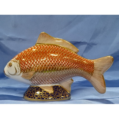 Royal Crown Derby Golden Carp Paperweight with Basal Stopper