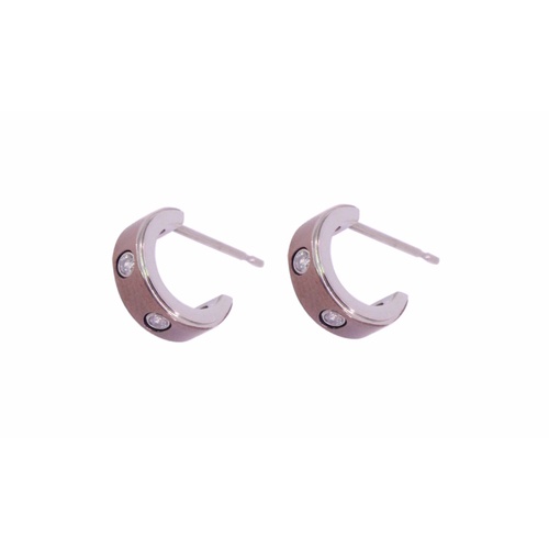 Two Tone Cubic Zirconia Stainless Steel Hoop Earrings - CLEARANCE