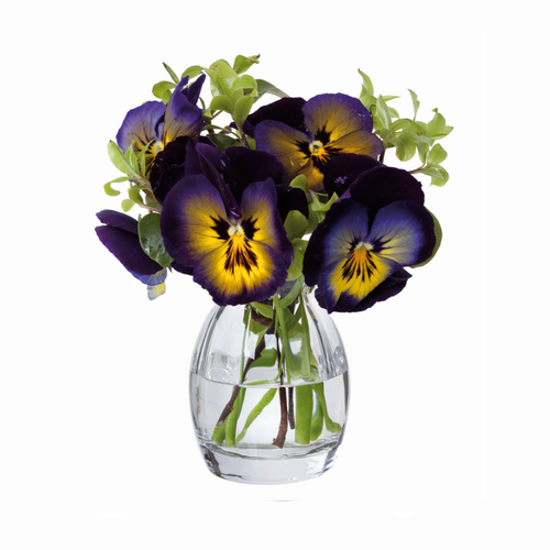 Dartington Crystal Florabundance 9cm Pansy Vase